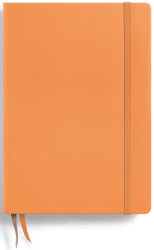 LT1917_NB_Medium_HC_ohne Banderole_Apricot_ohne Stift_20x20cm_150dpi.jpg
