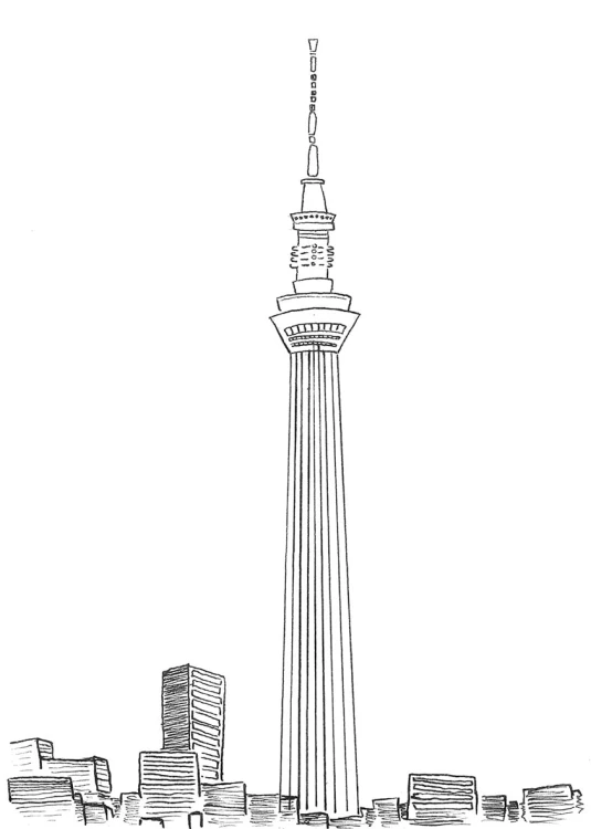 79564.jpg