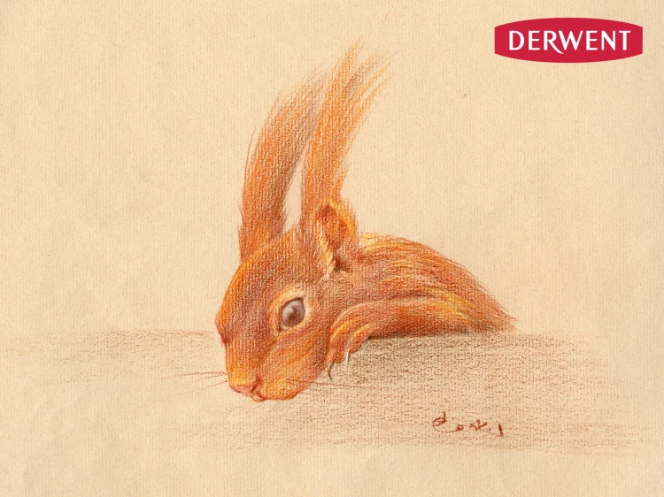 72894.jpg