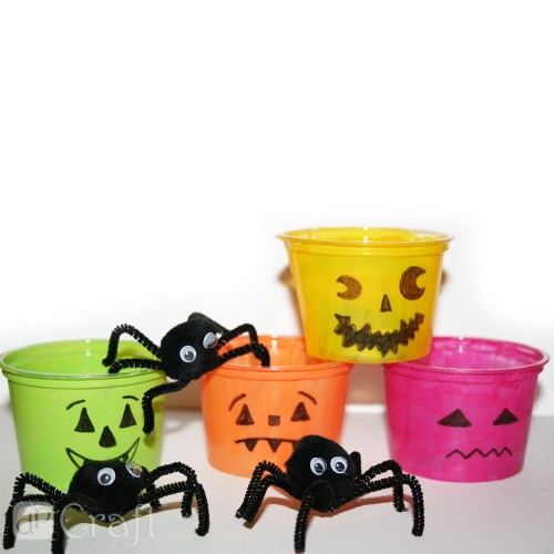 77529.jpg