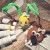 77542.jpg