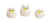 79920.png