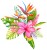 tropical blossom new 0226 _NR_PI_Office.jpg