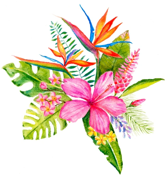 tropical blossom new 0226 _NR_PI_Office.jpg