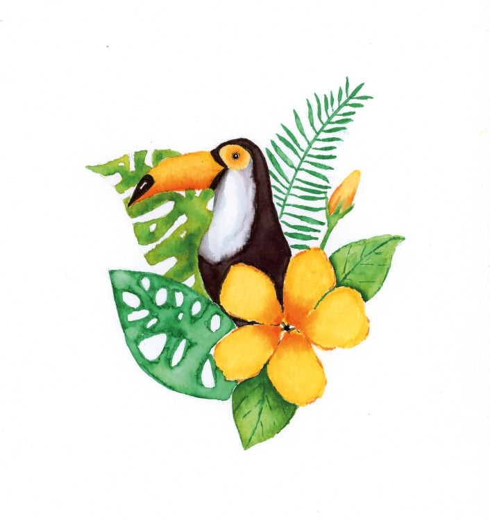 toucan and leaves 0925 _NR_PI_Office.jpg