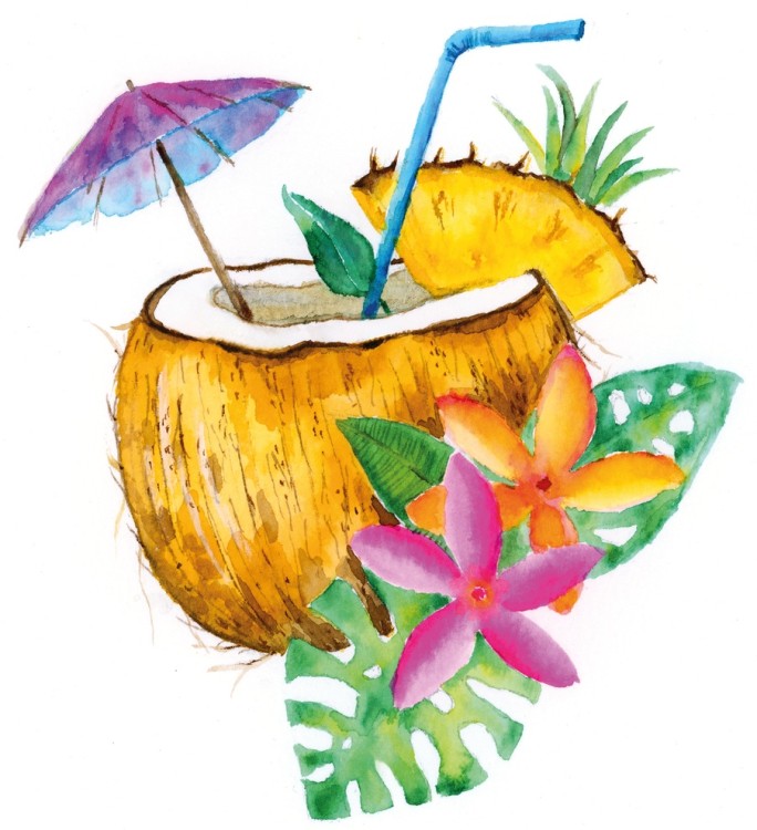 coconut 0925 _NR_PI_Office.jpg