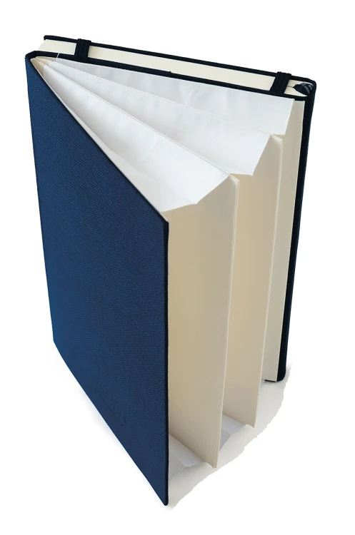 363369-lt-2.png