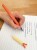 551020_Animal_Pen_Hand_Anwendung_PS_Office.jpg