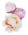 Polychromos Peonies 0326 _NR_PI_Office.jpg